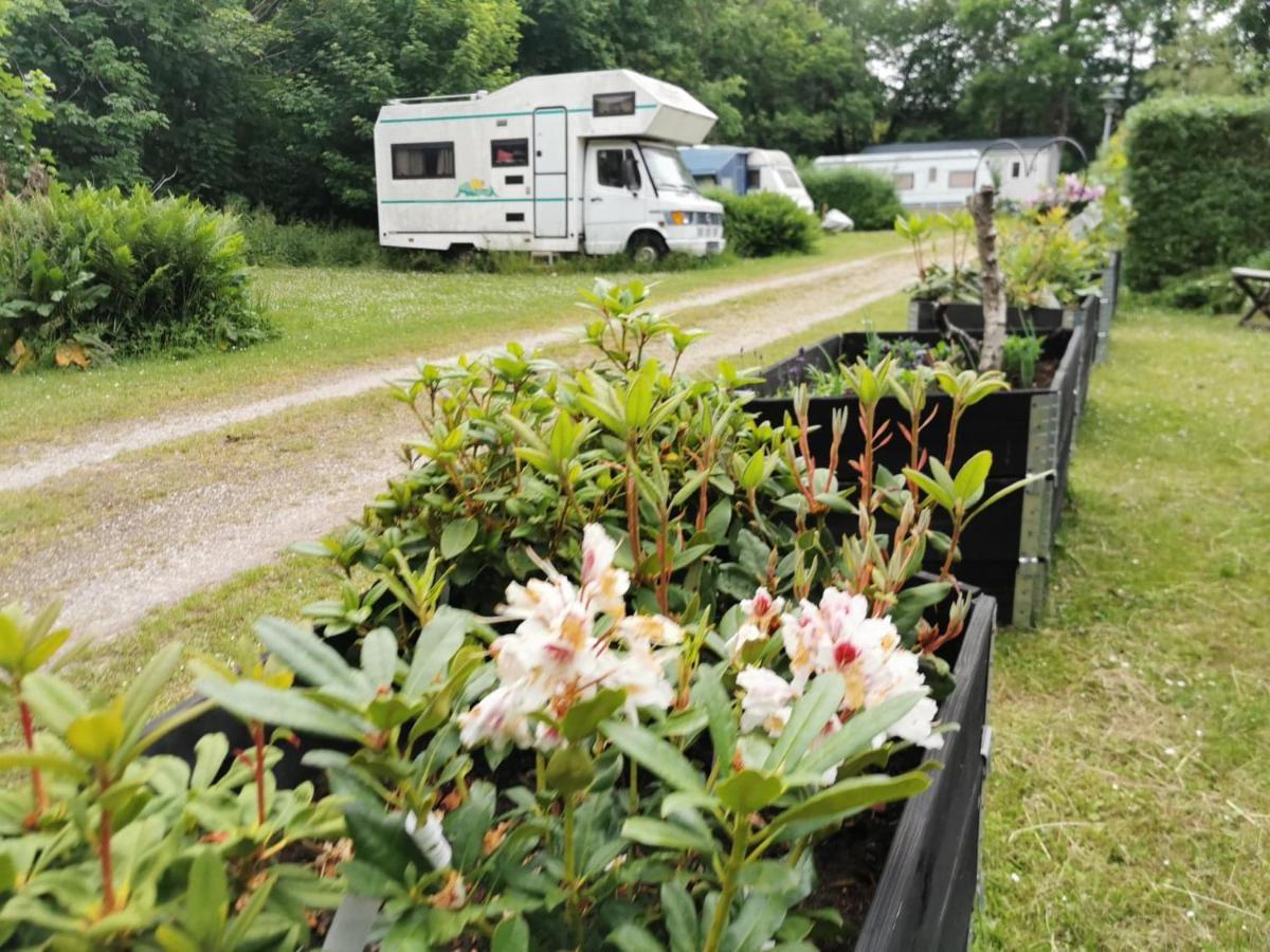 Frederiksvaerk Camping & Hostel Buitenkant foto