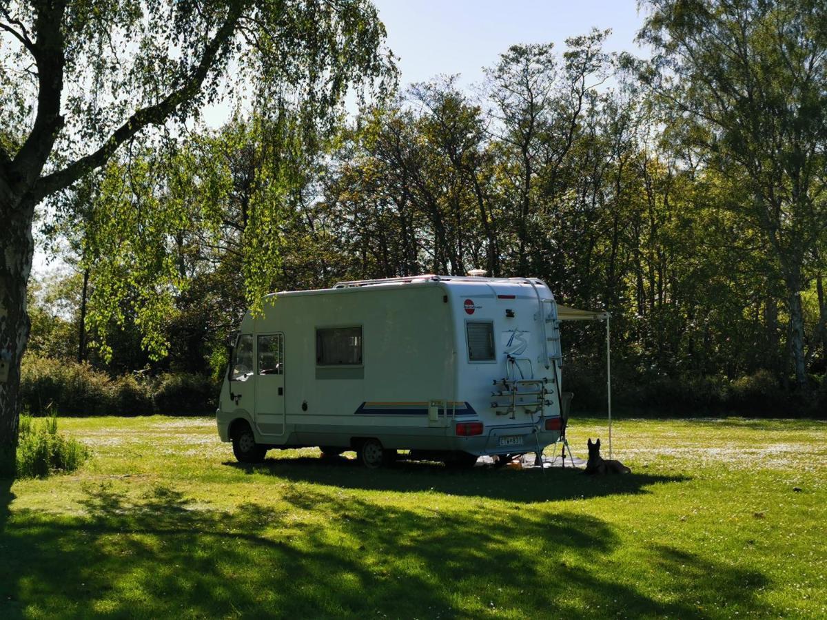 Frederiksvaerk Camping & Hostel Buitenkant foto